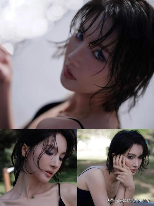 金晨申敏儿同框 四美比拼风格各异