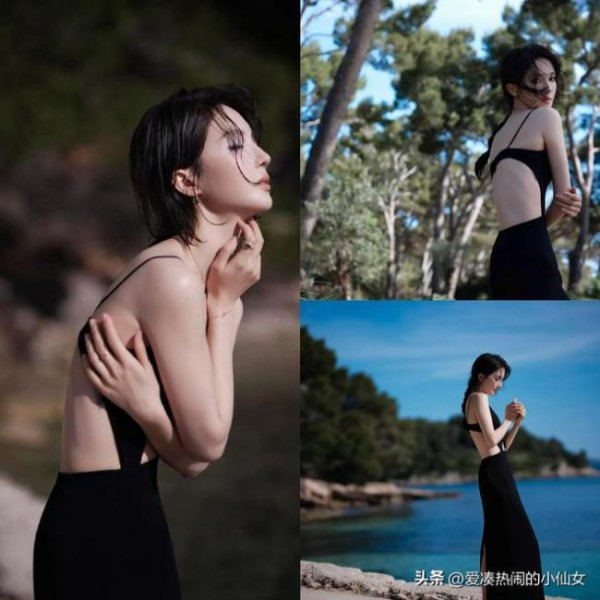 金晨申敏儿同框 四美比拼风格各异