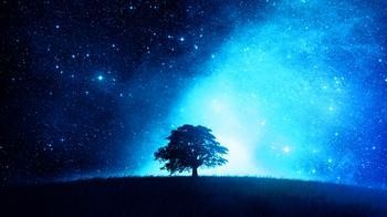 雷达星座表:有一块雷达手表那都没有编码怎么查型号，表带也没有编码，下面有图片帮忙看一下