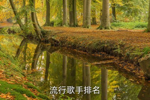 流行歌手排名