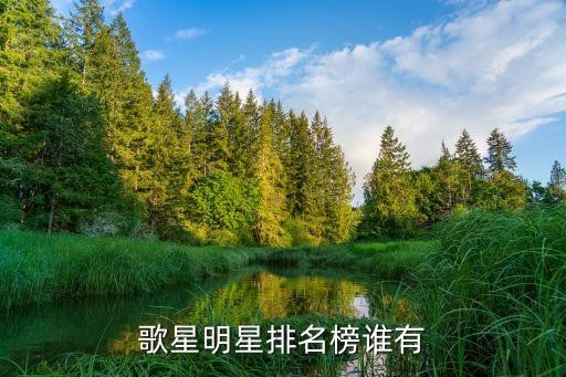歌手排行榜，歌星明星排名榜谁有