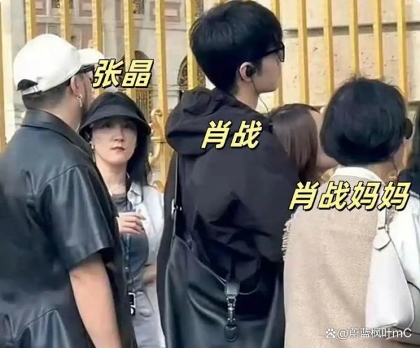 肖战绯闻女友张晶：顶流经纪人背后的舆论风暴与职业尊严