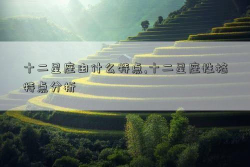 十二星座由什么特点,十二星座性格特点分析