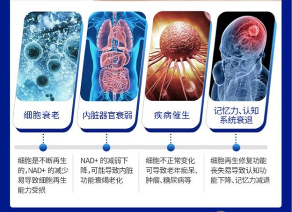 港台女明星驻颜竟是它，莱特维健NMN为你带来抗衰老新体验