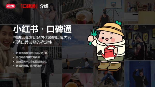 2024小红书口碑通产品方案