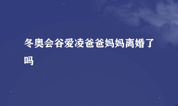 冬奥会谷爱凌爸爸妈妈离婚了吗