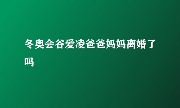 冬奥会谷爱凌爸爸妈妈离婚了吗