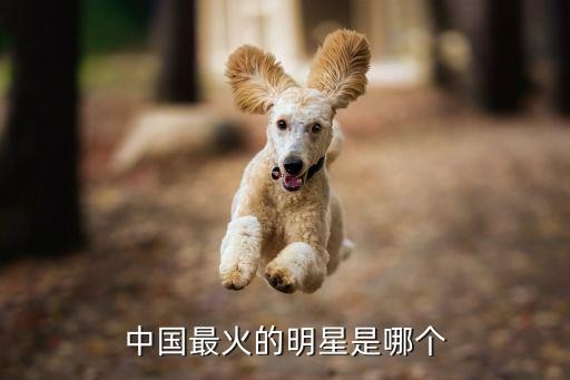 中国最火的明星是哪个