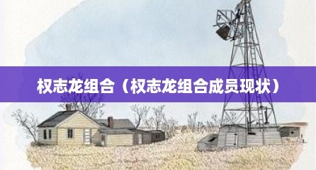 权志龙组合（权志龙组合成员现状）