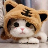 星期天先森