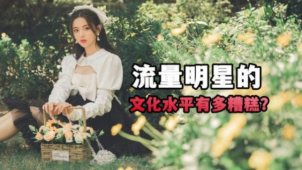 流量明星的学历有多低？杨超越初中就辍学了，蔡徐坤去美国读高中