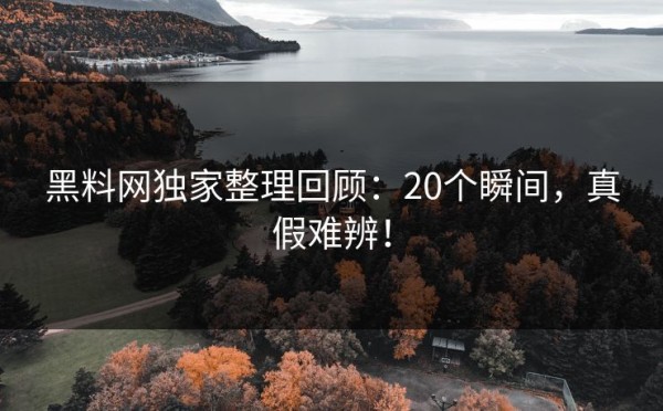 黑料网独家整理回顾：20个瞬间，真假难辨！