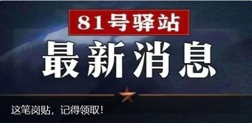干部结构要调整打一字,焕新组织活力