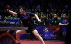 继林诗栋和林高远以后，樊振东又战胜一名世乒赛选手