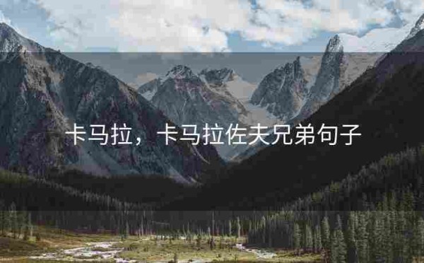 卡马拉,卡马拉佐夫兄弟句子