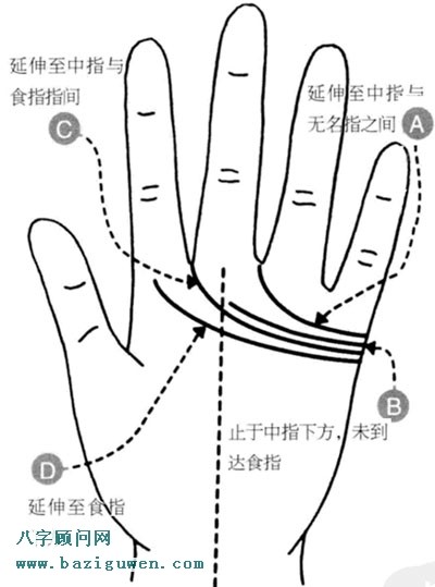 感情线图解长短延伸情况