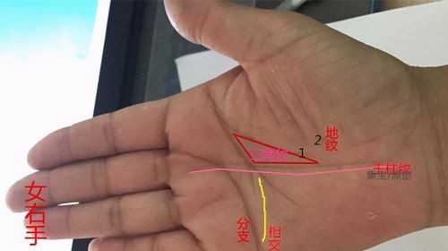 手相 感情线(女人感情线分叉20种图解)