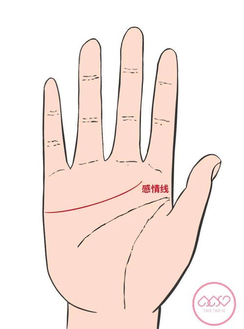 手掌感情线(感情线两条20种图解)