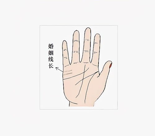 感情线两条20种图解