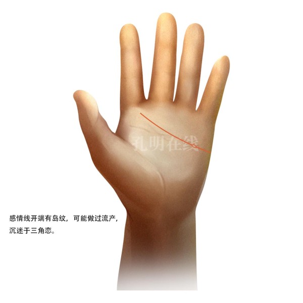 感情线有纹图解大全，若有这条纹容易遇小三
