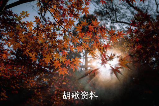  胡歌资料