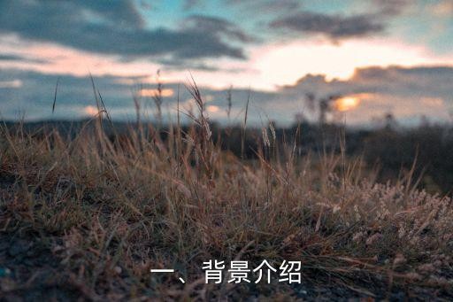 一、背景介绍