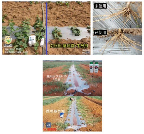 QQ20250613-162649.png