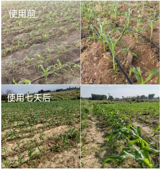 QQ20250613-162756.png