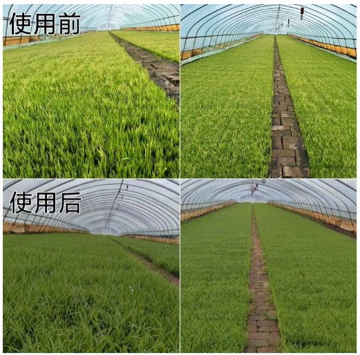 QQ20250613-162807.png