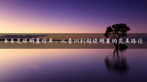 未来足球明星培养：从青训到超级明星的完美路径