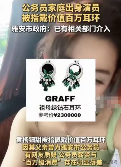 18岁明星230万耳环风波：一场成人礼背后的财富合法性追问 第3张