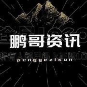 @鹏哥资讯 的个人主页