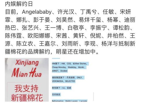 孔姓明星风采集：图鉴与排行