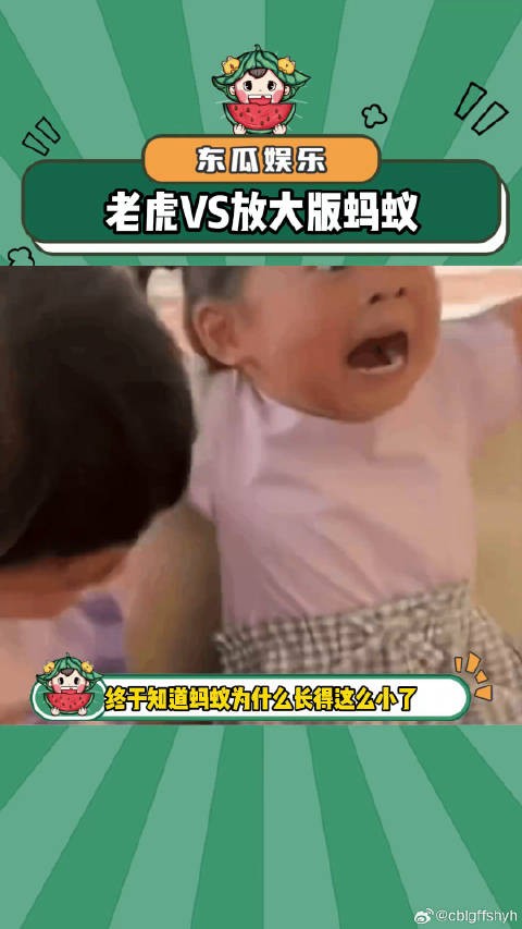 蚂蚁和老虎对比，这样一看老虎还挺好看的哈！老虎 娱乐评论大赏