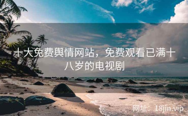十大免费舆情网站，免费观看已满十八岁的电视剧