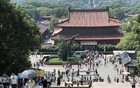 刚刚！大批阿D 涌入无锡！