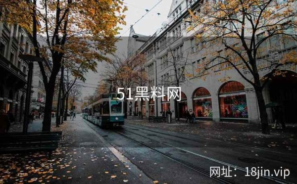 51黑料网