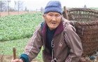 专家：农民不该奢望养老金！交公粮不等于养老金……