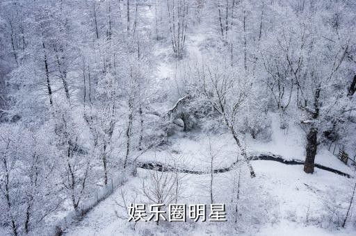 娱乐圈明星