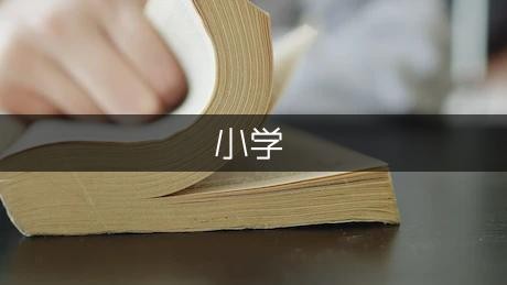 第一次登台表演小学作文（热门7篇）