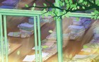 2025深圳10区学区划分最新汇总！（附学区地图）