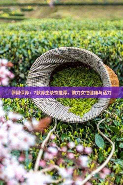 卵巢保养：7款养生茶饮推荐，助力女性健康与活力