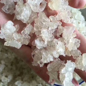 雪燕
