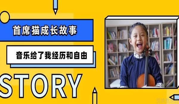 重庆首席猫艺术教育