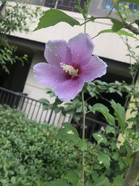 【明星周边什么意思？揭秘明星周边的前世今生，带你领略粉丝经济的魅力】