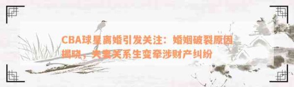 CBA球星离婚引发关注：婚姻破裂起因揭晓，夫妻关系生变牵涉财产纠纷