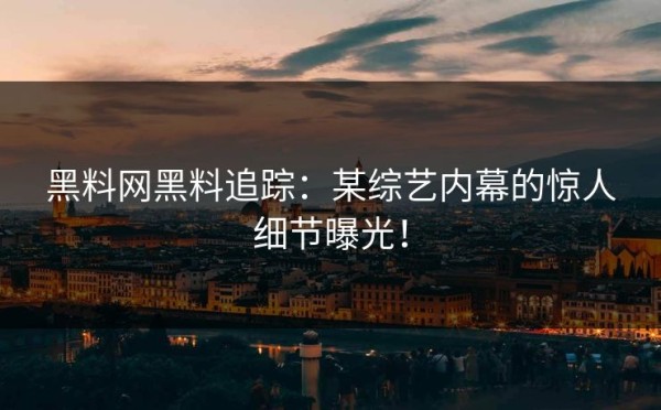 黑料网黑料追踪：某综艺内幕的惊人细节曝光！