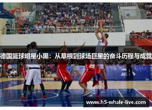 德国篮球明星小黑：从草根到球场巨星的奋斗历程与成就