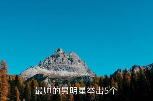 最帅的男明星举出5个