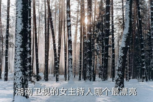 湖南卫视的女主持人哪个最漂亮